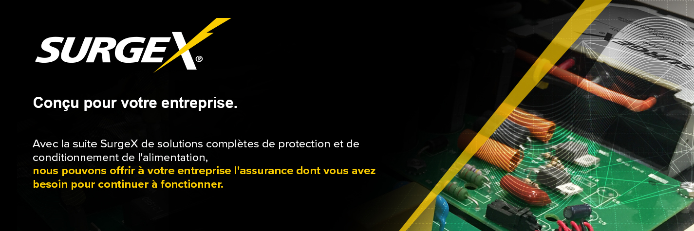 SurgeX Pro AV Surge Protection